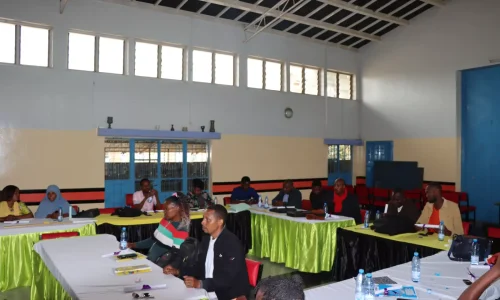 business development services certification by danish refugee council sweden sverige, certified BDS trainers